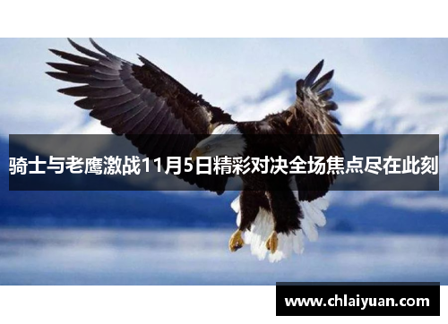 骑士与老鹰激战11月5日精彩对决全场焦点尽在此刻